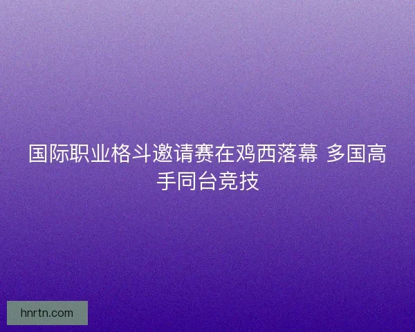 国际职业格斗邀请赛在鸡西落幕 多国高手同台竞技